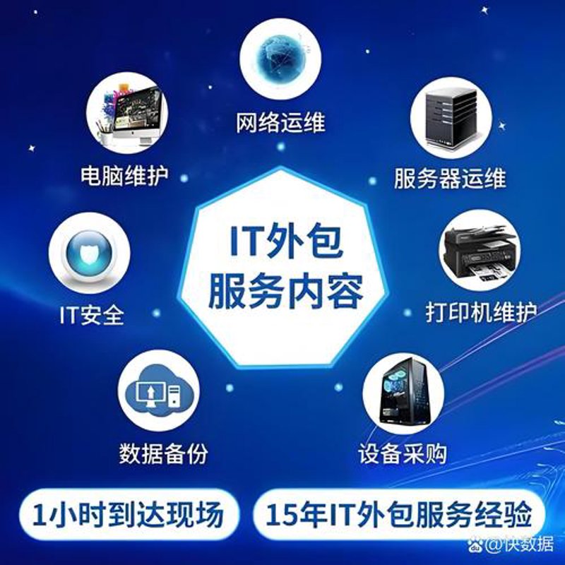 洞察上海软件开发行业的风云变幻